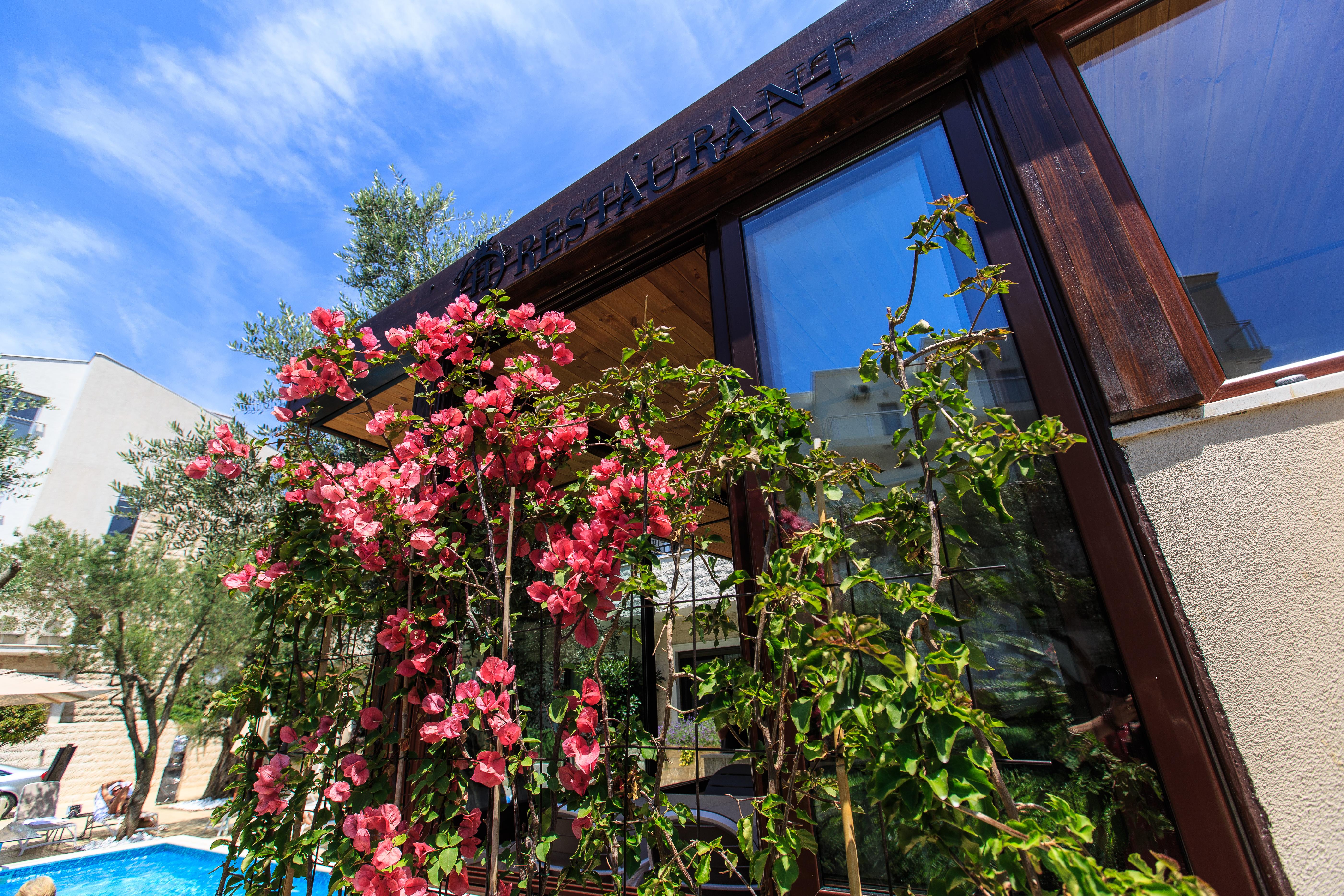 Hotel Harmony By Aycon Petrovac Bagian luar foto